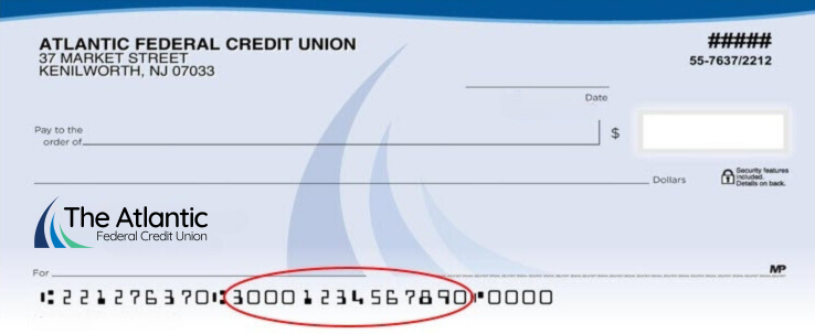 Direct Deposit Check example with MICR number